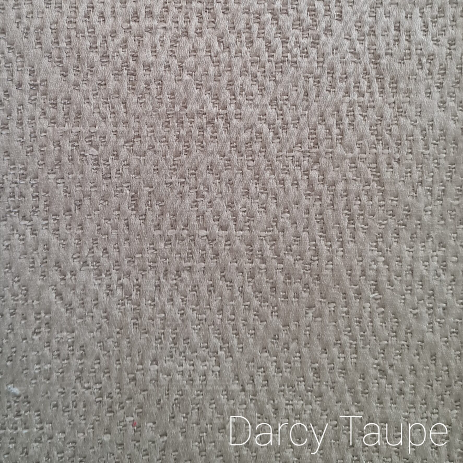 Darcy Taupe