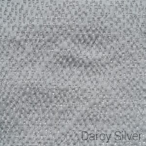 Darcy Silver