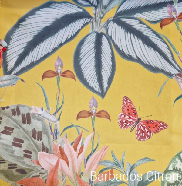 Barbados Citron Yellow