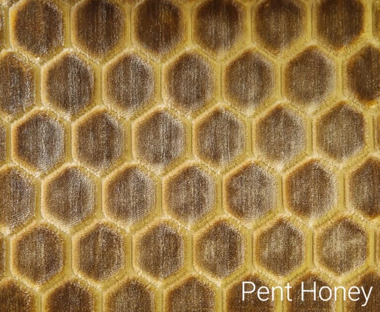 Pent Honey Yellow