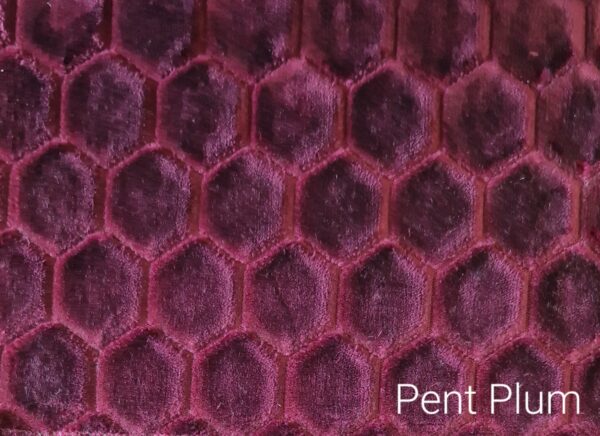 Pent Plum Purple