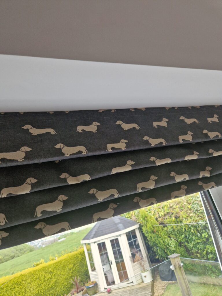 sausage dog roman blind