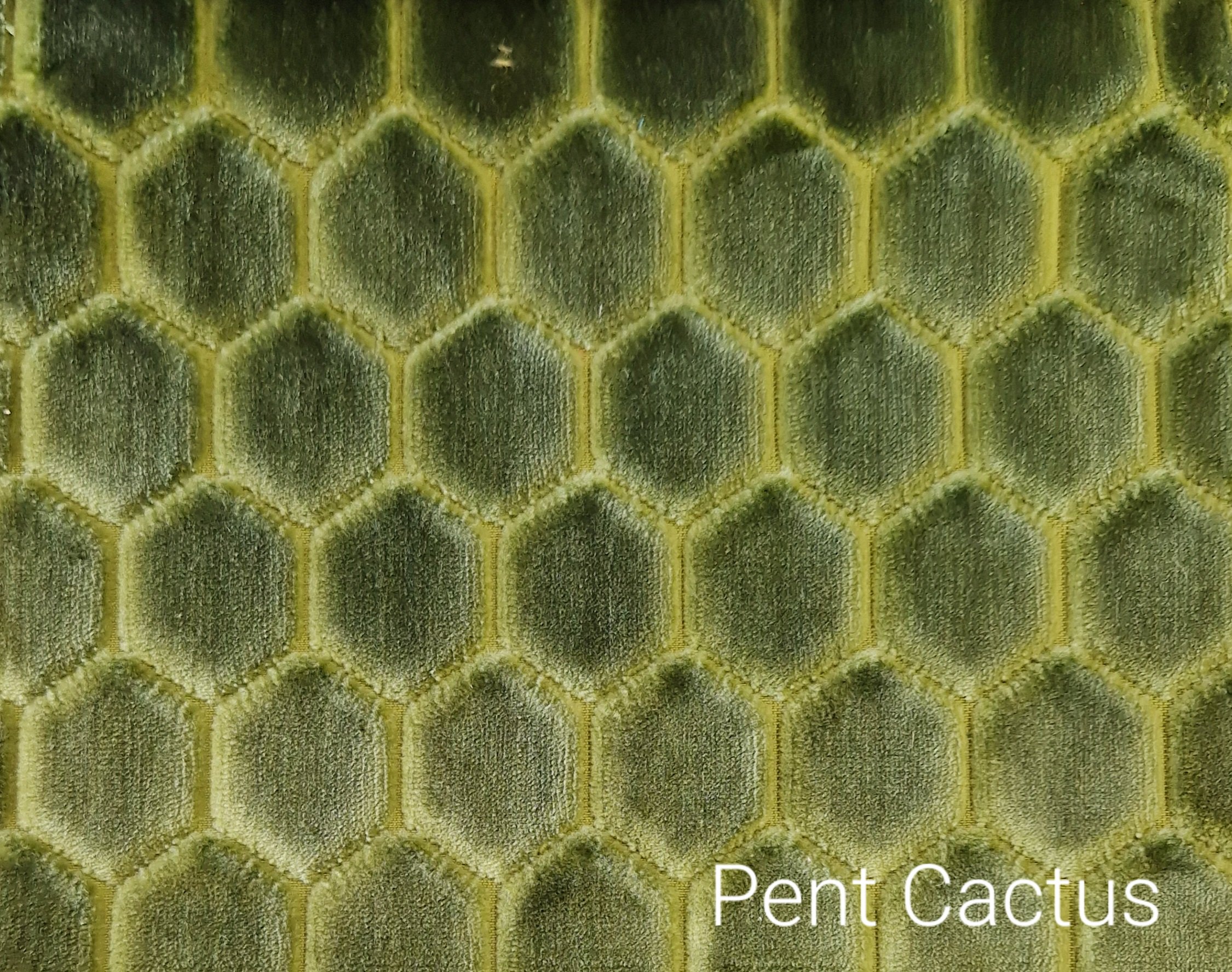 Pent Cactus Green