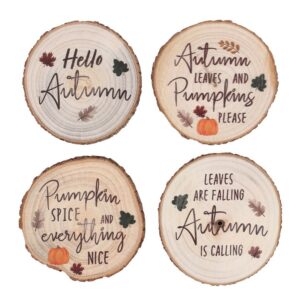 Hello Autumn Coasters