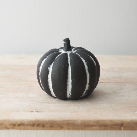 Monochrome pumpkin